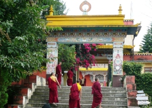 1 Shechen Monastery-Boudhanath, Nepal